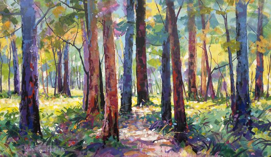 Road through the Forest 21