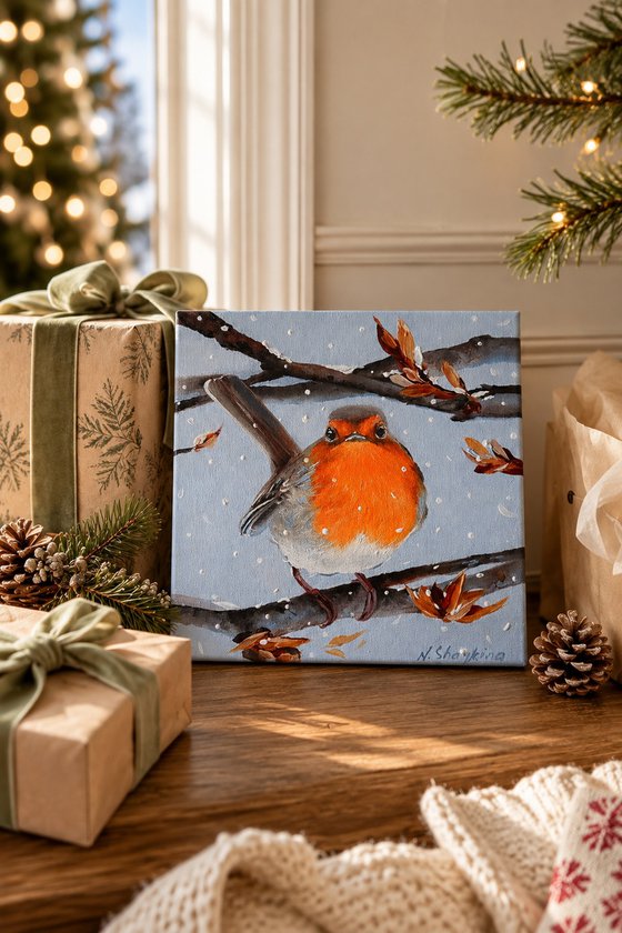Winter Robin in Snow