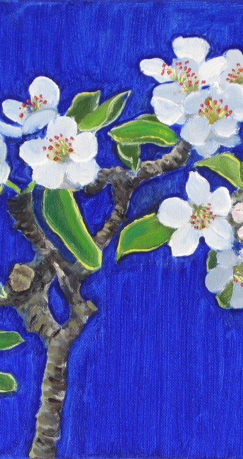 Small Stem of Pear Blossom by Richard Gibson