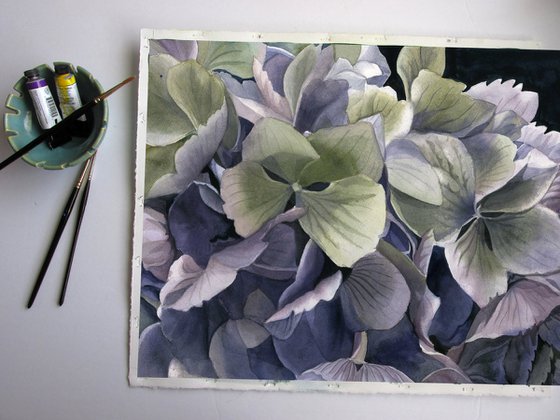 spring hydrangea watercolor