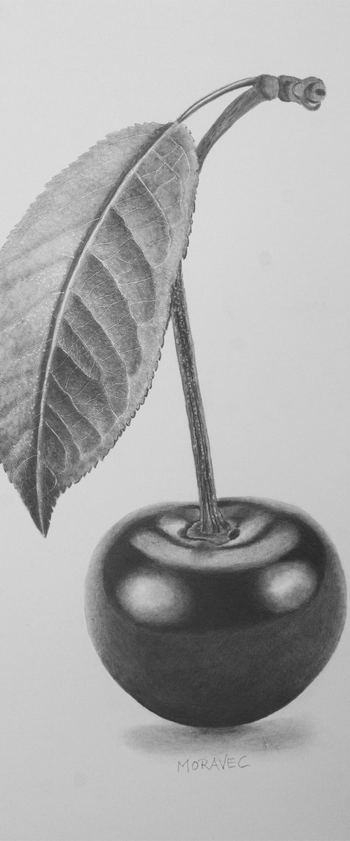Cherry with a Parasol by Dietrich Moravec