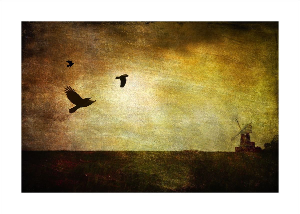 Windmill & Birds by Martin  Fry