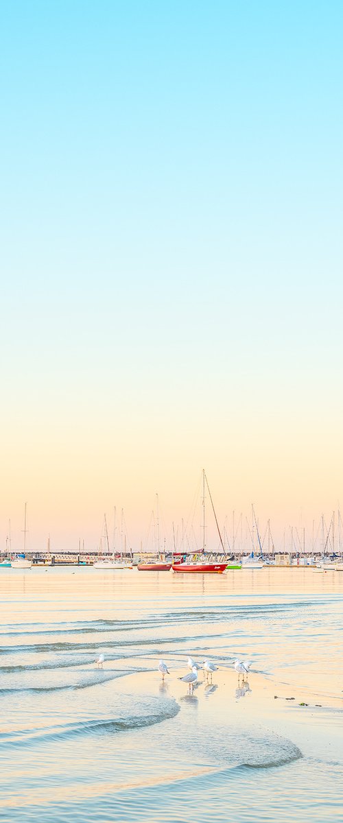 St Kilda Foreshore by Nick Psomiadis