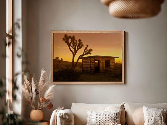 Joshua Tree Sunset Abandoned Cabin