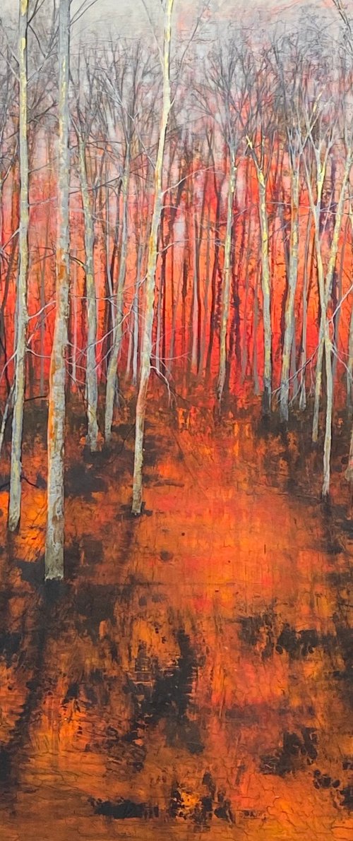 'Red Winter' by Jo Starkey