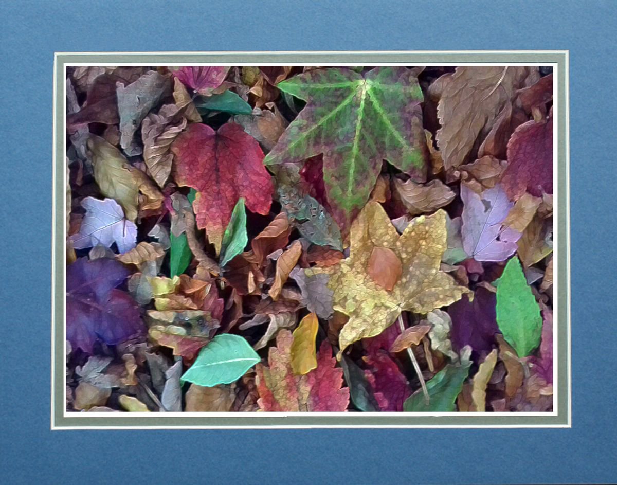 Autumn Leaves One by Robin Clarke