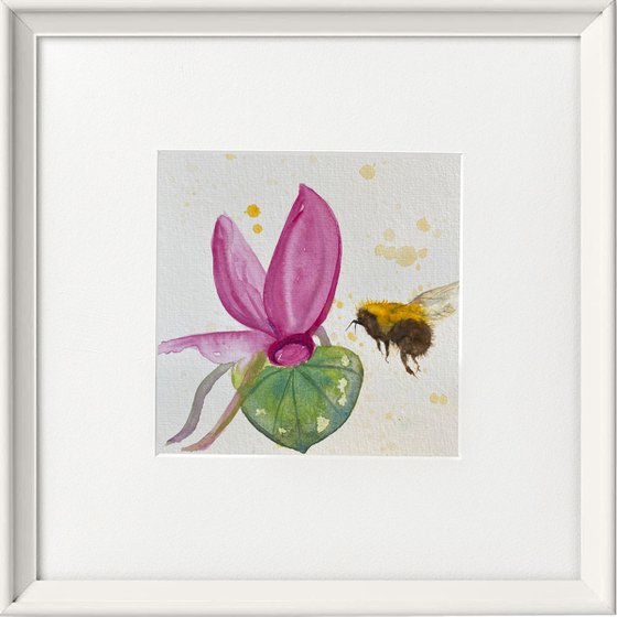 Bee & Cyclamen flower