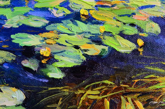 Water lilies on the waves