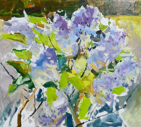 "Lilac Blossoms "