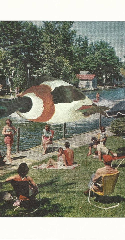 The Duck Race by Paper Draper