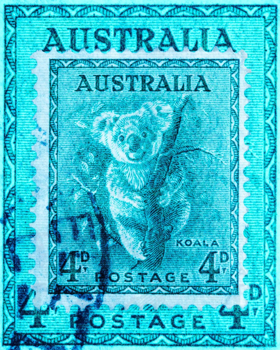 Animal Photograph By Deborah Pendell, 20 X 25, Australia Koala Bear - Stamp Collection Art, Original Artwork