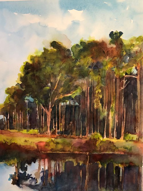 Carolina Pines by Bronwen Jones