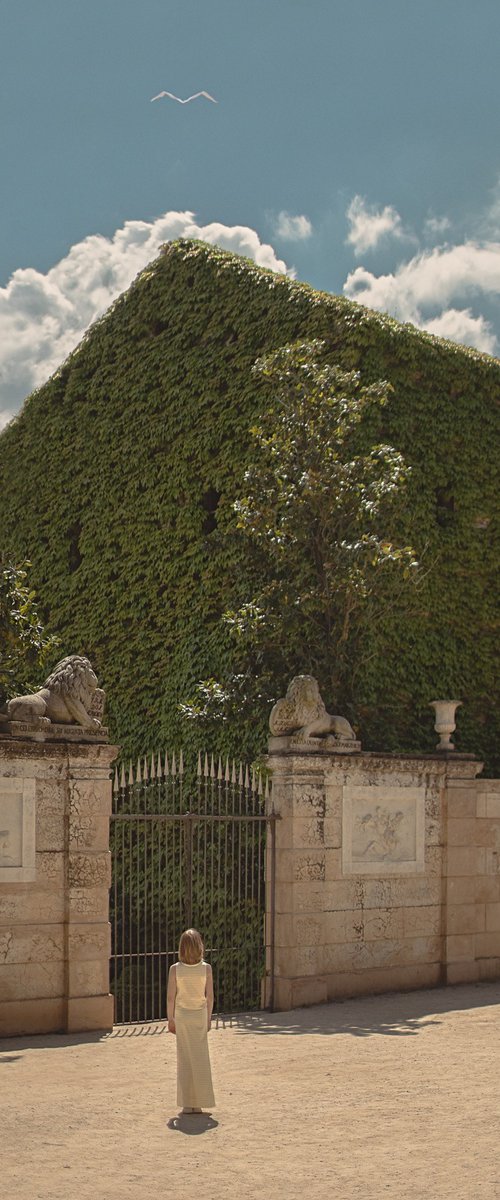 Doors Will Open by Dasha Pears