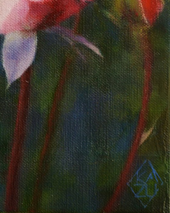 Rose and the Stream of Time