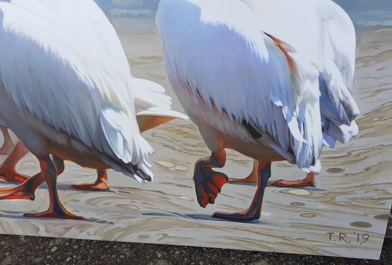 Fishing Time / Pelicans