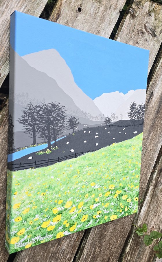 Patterdale Meadow