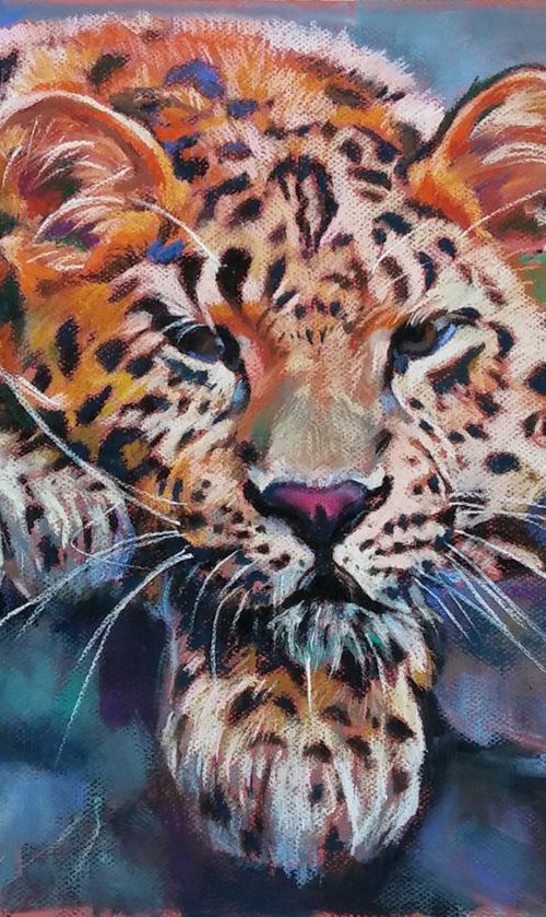 Leopard by Magdalena Palega