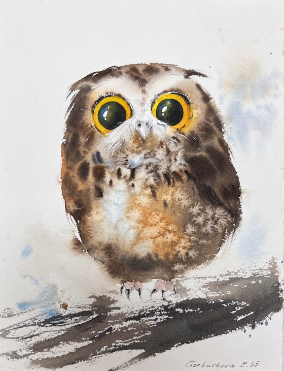 Owls (Diptych)
