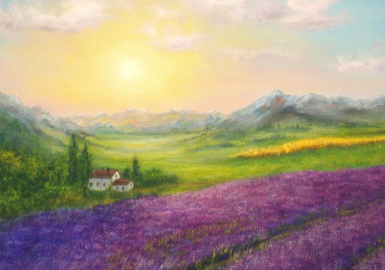 Lavender Provence