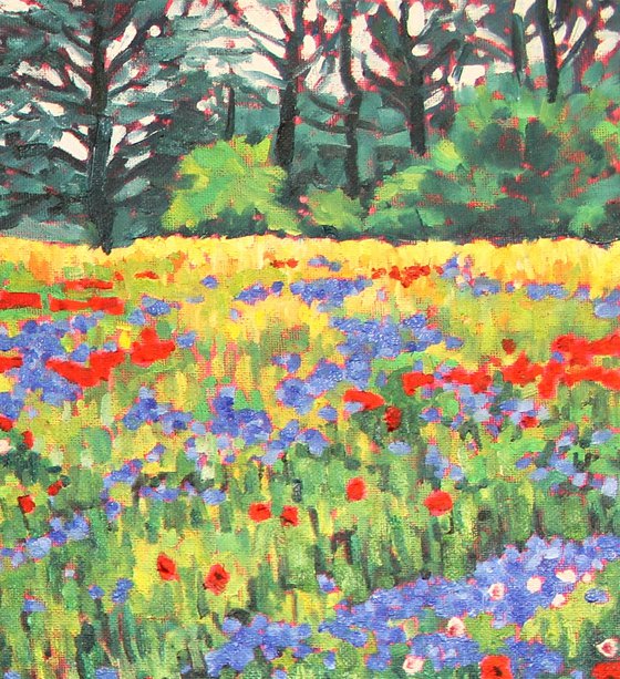 Cornflower Meadow