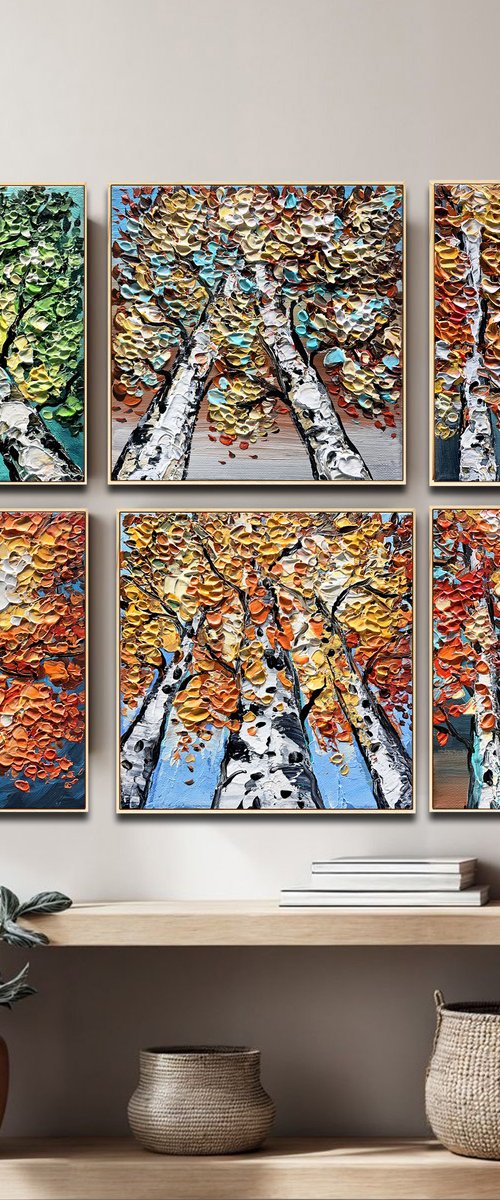 Birch Collection by Lana Guise