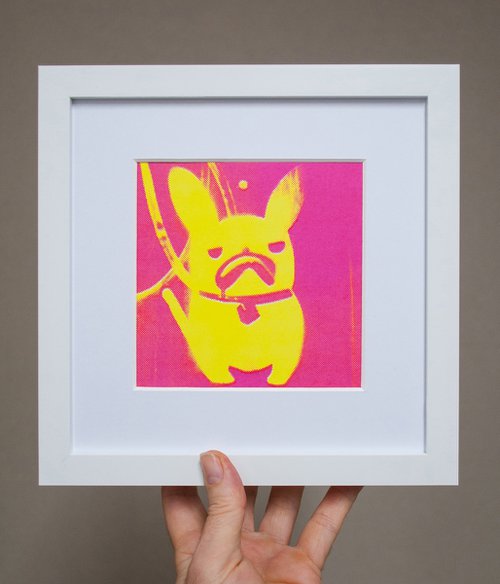 'Custard' French Bulldog (small framed artists proof) by AH Image Maker