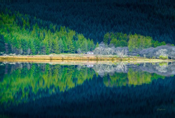 Tranquility at Loch Eck