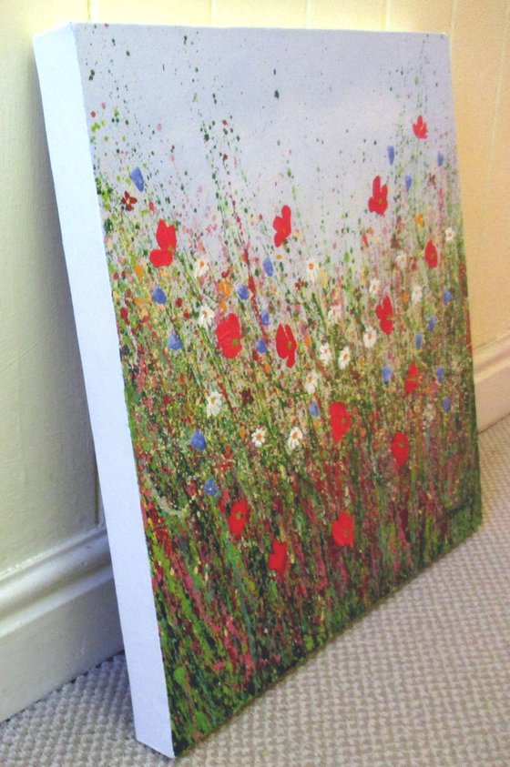 Poppy Meadow