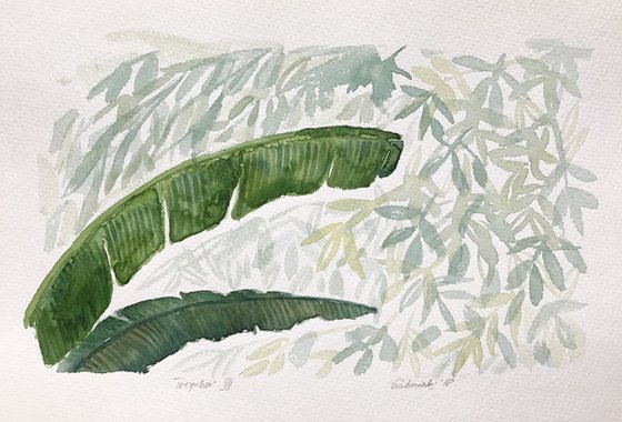 Tropics VI