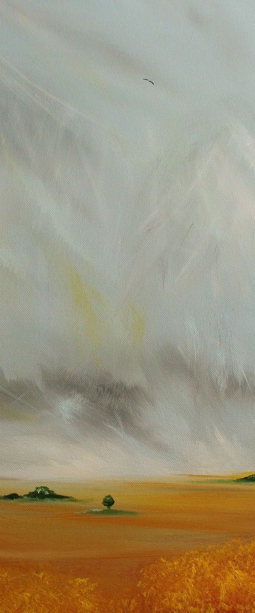 Fields of Gold by Mel Graham