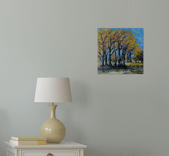 When trees tell stories