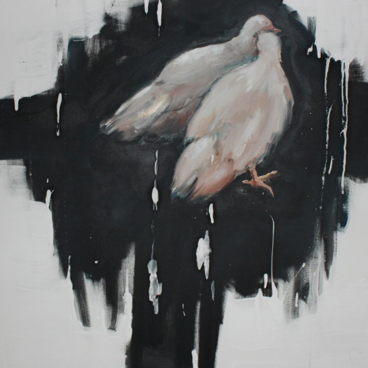 pigeons by Katarzyna Harciarek