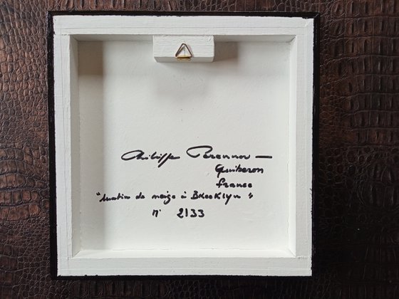 "matin de neige à Brooklyn" N° 2133