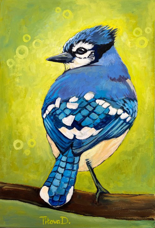 Mischievous Mister Blue Jay by Diana Titova