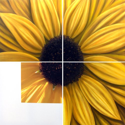 Sunflower by Juan Bernal