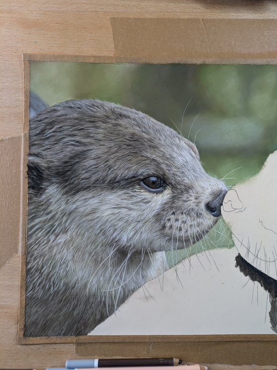 The Otter half