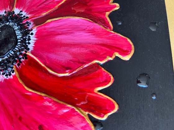 Anemone