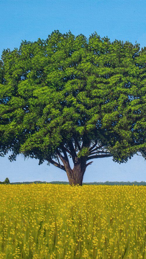 The Solitaire #3 by Dietrich Moravec