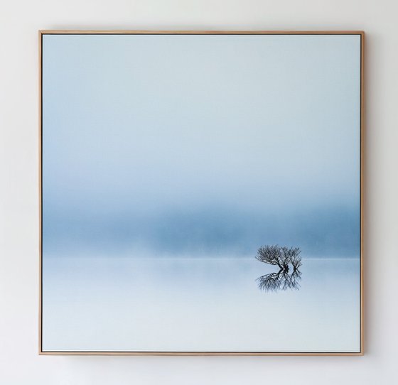 Lost in the mist.....