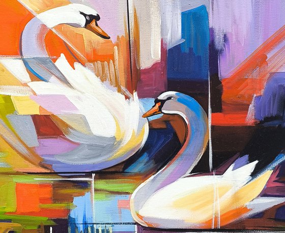 Elegance Swans