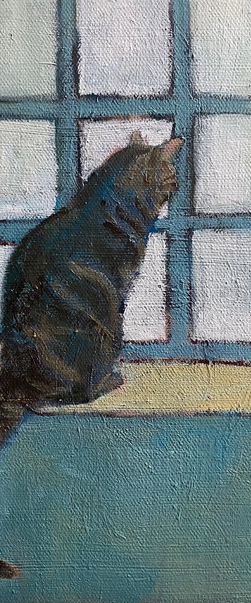 Cat in Window (Mylo) by Nigel Sharman