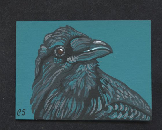 Crow Raven