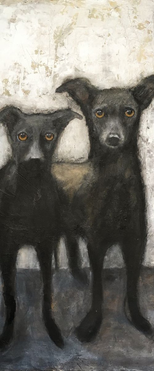DOGS by Eva Fialka