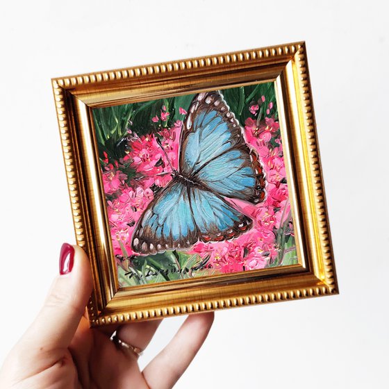 Blue Morpho butterfly