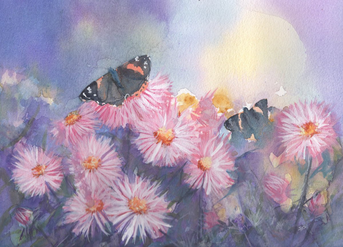 Butterflies and flowers by Sarah Stowe