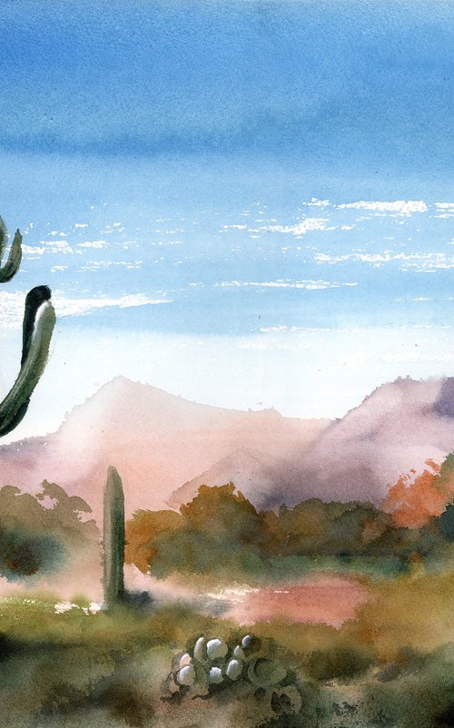 Saguaro Valley by Olga Tchefranov (Shefranov)