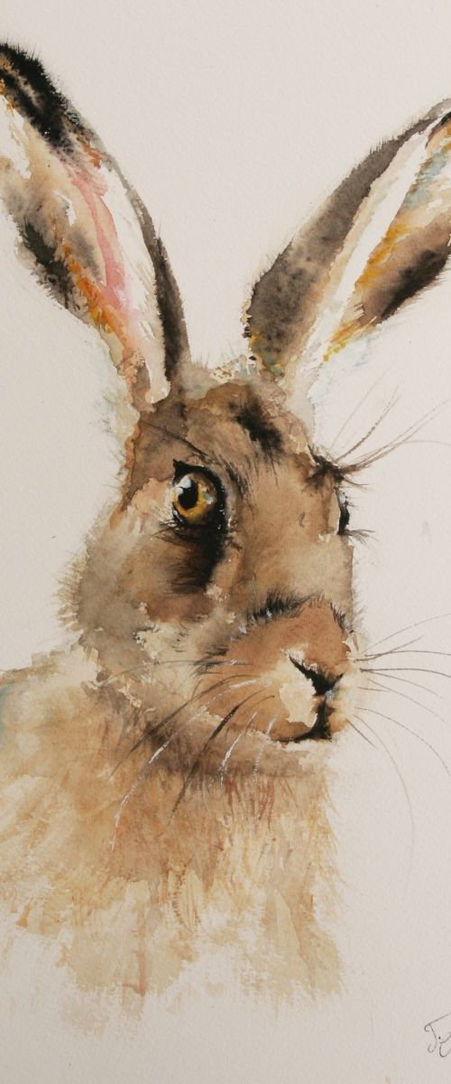 The Brown Hare by Tomasz Mikutel