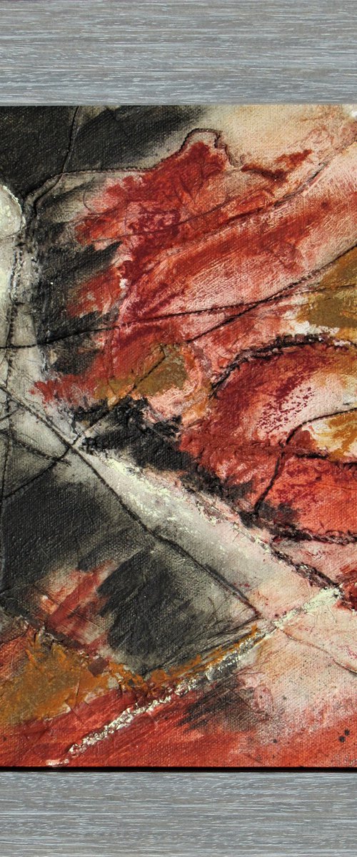 Terre du Roussillon no 7 by Sherry Edmondson
