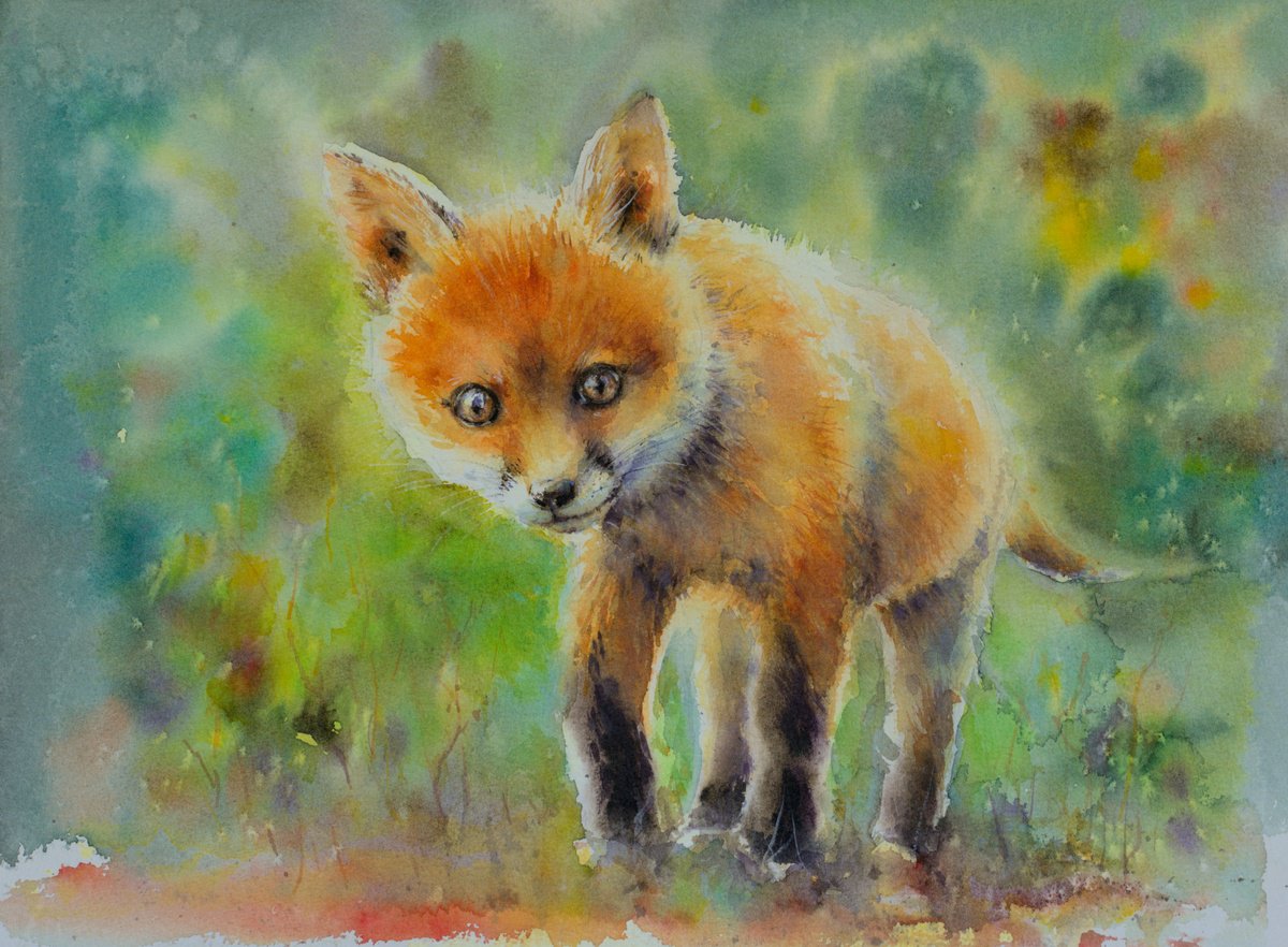 Photorealistic Animal Watercolour By Eve Mazur, 16 X 12, Young Fox, Original Artwork