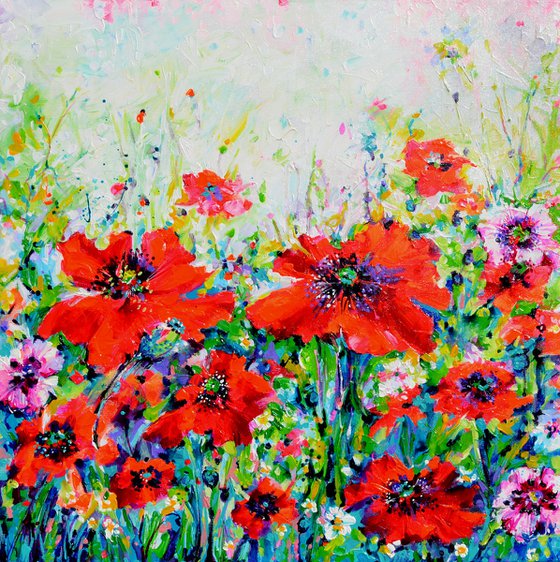 Papaveri Orientali Poppy Oriental Red Poppies